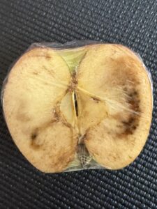 クルミラなし